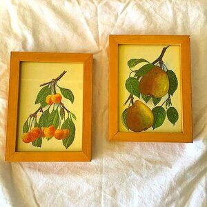 3/$25 ⭐️ Vintage Framed Botanical Fruit Print Duo